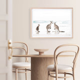 Shop Three Kangaroos Photo Art Print a coastal themed photography wall art print from The Print Emporium wall artwork collection - Buy Australian made fine art poster and framed prints for the home and your interior decor, TPE-907-AP