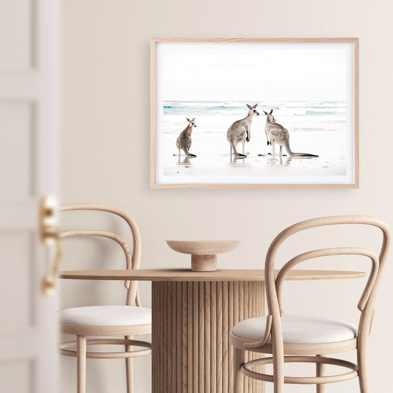 Shop Three Kangaroos Photo Art Print a coastal themed photography wall art print from The Print Emporium wall artwork collection - Buy Australian made fine art poster and framed prints for the home and your interior decor, TPE-907-AP