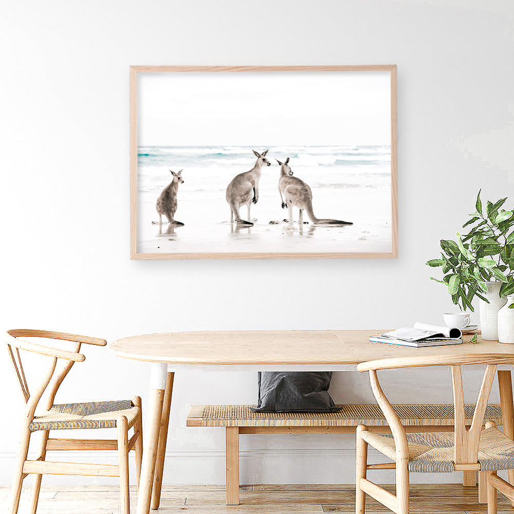 Shop Three Kangaroos Photo Art Print a coastal themed photography wall art print from The Print Emporium wall artwork collection - Buy Australian made fine art poster and framed prints for the home and your interior decor, TPE-907-AP