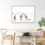 Shop Three Kangaroos Photo Art Print a coastal themed photography wall art print from The Print Emporium wall artwork collection - Buy Australian made fine art poster and framed prints for the home and your interior decor, TPE-907-AP