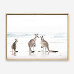 Shop Three Kangaroos Photo Canvas Print a coastal themed photography framed stretched canvas print from The Print Emporium wall artwork collection - Buy Australian made prints for the home and your interior decor space, TPE-907-CA-35X46-NF