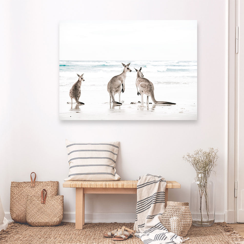 Shop Three Kangaroos Photo Canvas Print a coastal themed photography framed stretched canvas print from The Print Emporium wall artwork collection - Buy Australian made prints for the home and your interior decor space, TPE-907-CA-35X46-NF