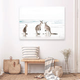 Shop Three Kangaroos Photo Canvas Print a coastal themed photography framed stretched canvas print from The Print Emporium wall artwork collection - Buy Australian made prints for the home and your interior decor space, TPE-907-CA-35X46-NF