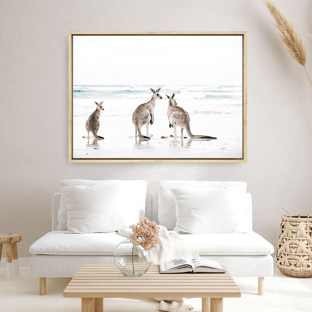 Shop Three Kangaroos Photo Canvas Print a coastal themed photography framed stretched canvas print from The Print Emporium wall artwork collection - Buy Australian made prints for the home and your interior decor space, TPE-907-CA-35X46-NF