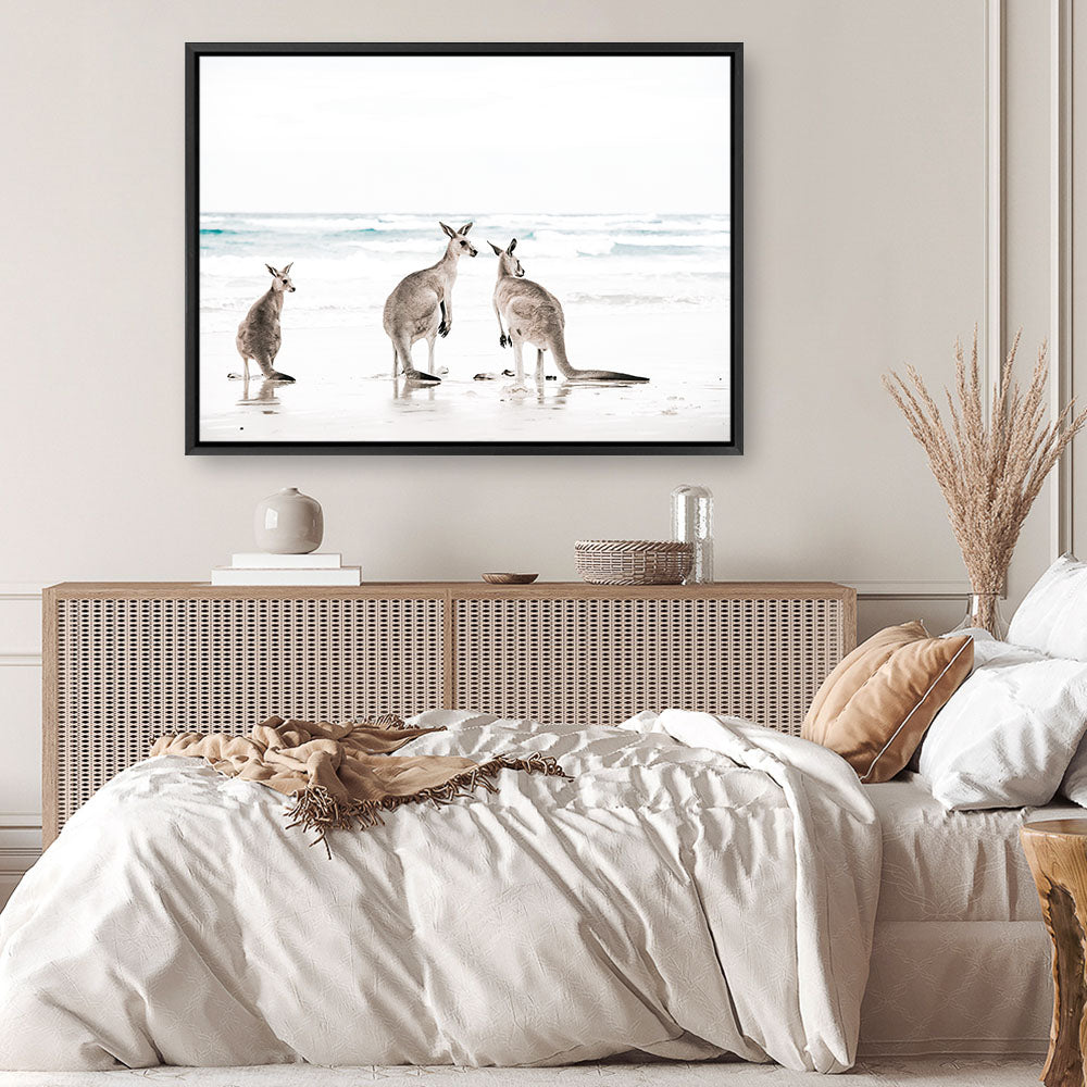 Shop Three Kangaroos Photo Canvas Print a coastal themed photography framed stretched canvas print from The Print Emporium wall artwork collection - Buy Australian made prints for the home and your interior decor space, TPE-907-CA-35X46-NF