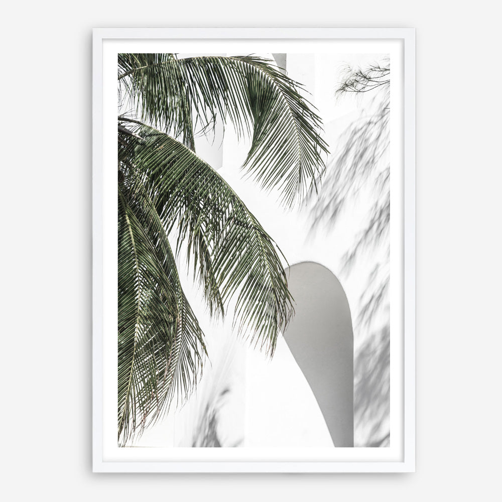 Shop Tropical Palm Villa Photo Art Print a coastal themed photography wall art print from The Print Emporium wall artwork collection - Buy Australian made fine art poster and framed prints for the home and your interior decor, TPE-1306-AP