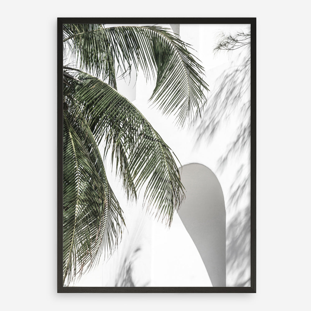 Shop Tropical Palm Villa Photo Art Print a coastal themed photography wall art print from The Print Emporium wall artwork collection - Buy Australian made fine art poster and framed prints for the home and your interior decor, TPE-1306-AP