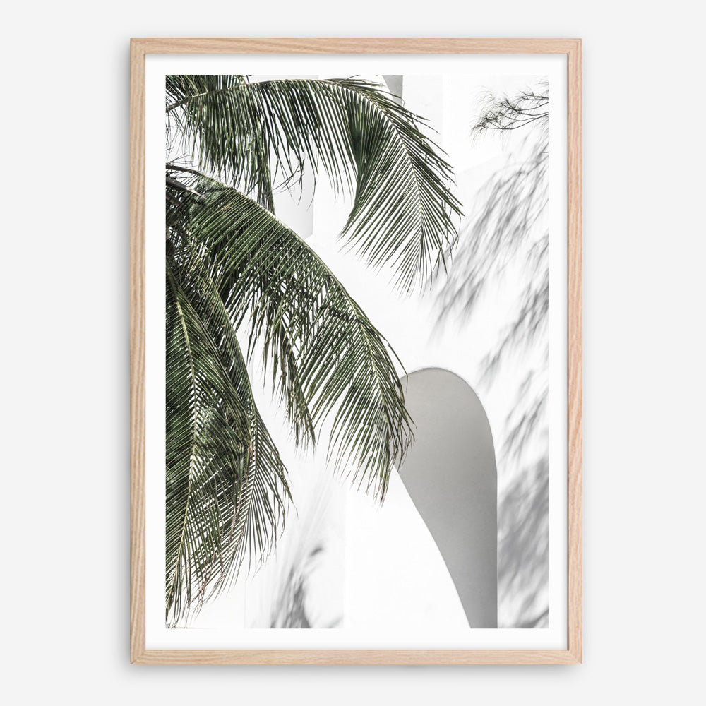 Shop Tropical Palm Villa Photo Art Print a coastal themed photography wall art print from The Print Emporium wall artwork collection - Buy Australian made fine art poster and framed prints for the home and your interior decor, TPE-1306-AP