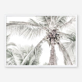 Shop Tropical Palms Photo Art Print a photography wall art print from The Print Emporium wall artwork collection - Buy Australian made fine art poster and framed prints for the home and your interior decor room, TPE-676-AP