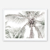 Shop Tropical Palms Photo Art Print a photography wall art print from The Print Emporium wall artwork collection - Buy Australian made fine art poster and framed prints for the home and your interior decor room, TPE-676-AP