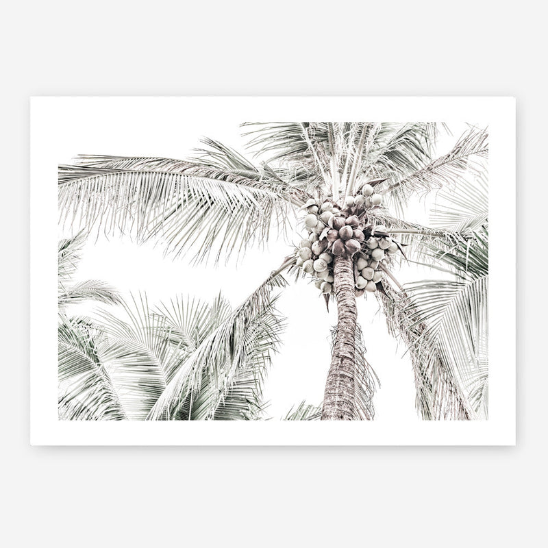 Shop Tropical Palms Photo Art Print a photography wall art print from The Print Emporium wall artwork collection - Buy Australian made fine art poster and framed prints for the home and your interior decor room, TPE-676-AP