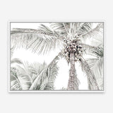 Shop Tropical Palms Photo Canvas Print a photography framed stretched canvas print from The Print Emporium wall artwork collection - Buy Australian made prints for the home and your interior decor space, TPE-676-CA-35X46-NF