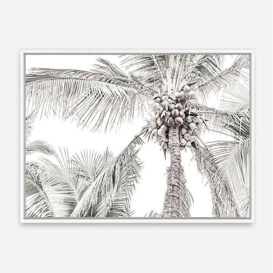 Shop Tropical Palms Photo Canvas Print a photography framed stretched canvas print from The Print Emporium wall artwork collection - Buy Australian made prints for the home and your interior decor space, TPE-676-CA-35X46-NF
