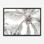 Shop Tropical Palms Photo Canvas Print a photography framed stretched canvas print from The Print Emporium wall artwork collection - Buy Australian made prints for the home and your interior decor space, TPE-676-CA-35X46-NF