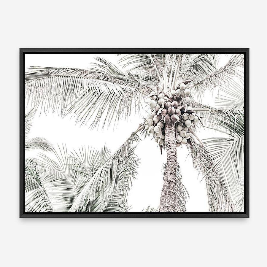 Shop Tropical Palms Photo Canvas Print a photography framed stretched canvas print from The Print Emporium wall artwork collection - Buy Australian made prints for the home and your interior decor space, TPE-676-CA-35X46-NF