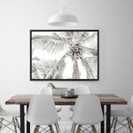 Shop Tropical Palms Photo Canvas Print a photography framed stretched canvas print from The Print Emporium wall artwork collection - Buy Australian made prints for the home and your interior decor space, TPE-676-CA-35X46-NF