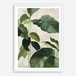 Shop Tropical Study II Crop Art Print a painted style wall art print from The Print Emporium wall artwork collection - Buy Australian made fine art painting style poster and framed prints for the home and your interior decor room, TPE-WA-70135-AP