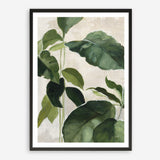 Shop Tropical Study II Crop Art Print a painted style wall art print from The Print Emporium wall artwork collection - Buy Australian made fine art painting style poster and framed prints for the home and your interior decor room, TPE-WA-70135-AP