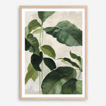 Shop Tropical Study II Crop Art Print a painted style wall art print from The Print Emporium wall artwork collection - Buy Australian made fine art painting style poster and framed prints for the home and your interior decor room, TPE-WA-70135-AP