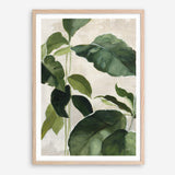 Shop Tropical Study II Crop Art Print a painted style wall art print from The Print Emporium wall artwork collection - Buy Australian made fine art painting style poster and framed prints for the home and your interior decor room, TPE-WA-70135-AP