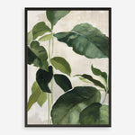 Shop Tropical Study II Crop Art Print a painted style wall art print from The Print Emporium wall artwork collection - Buy Australian made fine art painting style poster and framed prints for the home and your interior decor room, TPE-WA-70135-AP