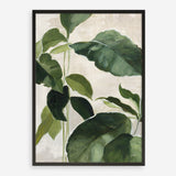 Shop Tropical Study II Crop Art Print a painted style wall art print from The Print Emporium wall artwork collection - Buy Australian made fine art painting style poster and framed prints for the home and your interior decor room, TPE-WA-70135-AP