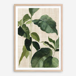 Shop Tropical Study II Linen Art Print a painted style wall art print from The Print Emporium wall artwork collection - Buy Australian made fine art painting style poster and framed prints for the home and your interior decor room, TPE-WA-74487-AP