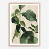 Shop Tropical Study II Linen Art Print a painted style wall art print from The Print Emporium wall artwork collection - Buy Australian made fine art painting style poster and framed prints for the home and your interior decor room, TPE-WA-74487-AP