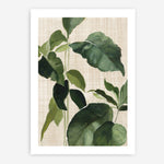 Shop Tropical Study II Linen Art Print a painted style wall art print from The Print Emporium wall artwork collection - Buy Australian made fine art painting style poster and framed prints for the home and your interior decor room, TPE-WA-74487-AP