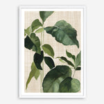 Shop Tropical Study II Linen Art Print a painted style wall art print from The Print Emporium wall artwork collection - Buy Australian made fine art painting style poster and framed prints for the home and your interior decor room, TPE-WA-74487-AP