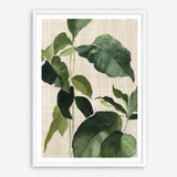 Shop Tropical Study II Linen Art Print a painted style wall art print from The Print Emporium wall artwork collection - Buy Australian made fine art painting style poster and framed prints for the home and your interior decor room, TPE-WA-74487-AP