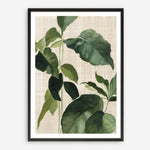 Shop Tropical Study II Linen Art Print a painted style wall art print from The Print Emporium wall artwork collection - Buy Australian made fine art painting style poster and framed prints for the home and your interior decor room, TPE-WA-74487-AP