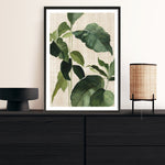 Shop Tropical Study II Linen Art Print a painted style wall art print from The Print Emporium wall artwork collection - Buy Australian made fine art painting style poster and framed prints for the home and your interior decor room, TPE-WA-74487-AP