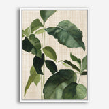 Shop Tropical Study II Linen Canvas Print a painted style framed canvas wall art print from The Print Emporium artwork collection - Buy Australian made fine art painting style stretched canvas prints for the home and your interior decor space, TPE-WA-74487-CA-35X46-NF