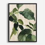 Shop Tropical Study II Linen Canvas Print a painted style framed canvas wall art print from The Print Emporium artwork collection - Buy Australian made fine art painting style stretched canvas prints for the home and your interior decor space, TPE-WA-74487-CA-35X46-NF