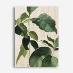 Shop Tropical Study II Linen Canvas Print a painted style framed canvas wall art print from The Print Emporium artwork collection - Buy Australian made fine art painting style stretched canvas prints for the home and your interior decor space, TPE-WA-74487-CA-35X46-NF