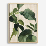 Shop Tropical Study II Linen Canvas Print a painted style framed canvas wall art print from The Print Emporium artwork collection - Buy Australian made fine art painting style stretched canvas prints for the home and your interior decor space, TPE-WA-74487-CA-35X46-NF