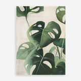 Shop Tropical Study IV Crop Art Print a painted style wall art print from The Print Emporium wall artwork collection - Buy Australian made fine art painting style poster and framed prints for the home and your interior decor room, TPE-WA-70137-AP