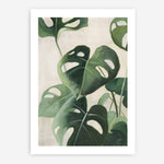 Shop Tropical Study IV Crop Art Print a painted style wall art print from The Print Emporium wall artwork collection - Buy Australian made fine art painting style poster and framed prints for the home and your interior decor room, TPE-WA-70137-AP