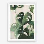 Shop Tropical Study IV Crop Art Print a painted style wall art print from The Print Emporium wall artwork collection - Buy Australian made fine art painting style poster and framed prints for the home and your interior decor room, TPE-WA-70137-AP