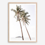 Shop Twin Palms Photo Art Print a coastal themed photography wall art print from The Print Emporium wall artwork collection - Buy Australian made fine art poster and framed prints for the home and your interior decor, TPE-1053-AP