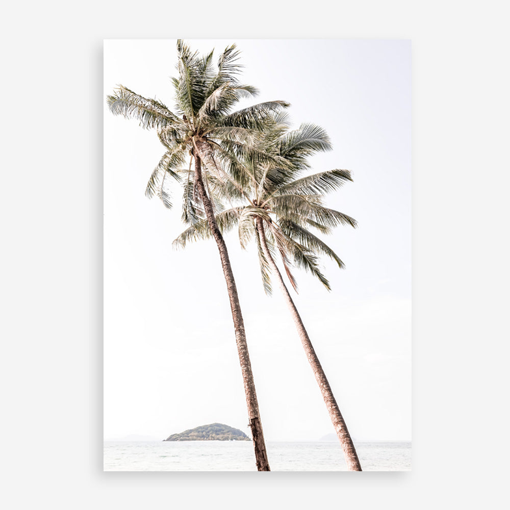 Shop Twin Palms Photo Art Print a coastal themed photography wall art print from The Print Emporium wall artwork collection - Buy Australian made fine art poster and framed prints for the home and your interior decor, TPE-1053-AP