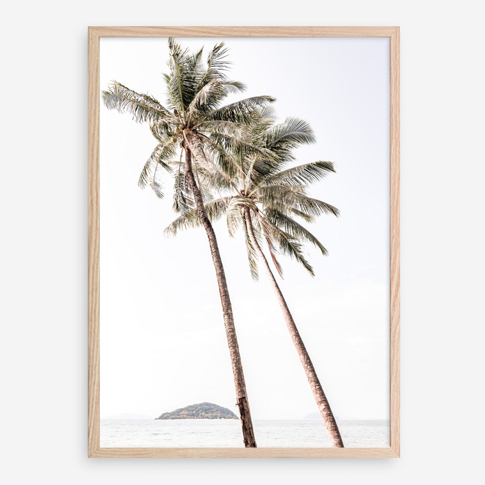 Shop Twin Palms Photo Art Print a coastal themed photography wall art print from The Print Emporium wall artwork collection - Buy Australian made fine art poster and framed prints for the home and your interior decor, TPE-1053-AP