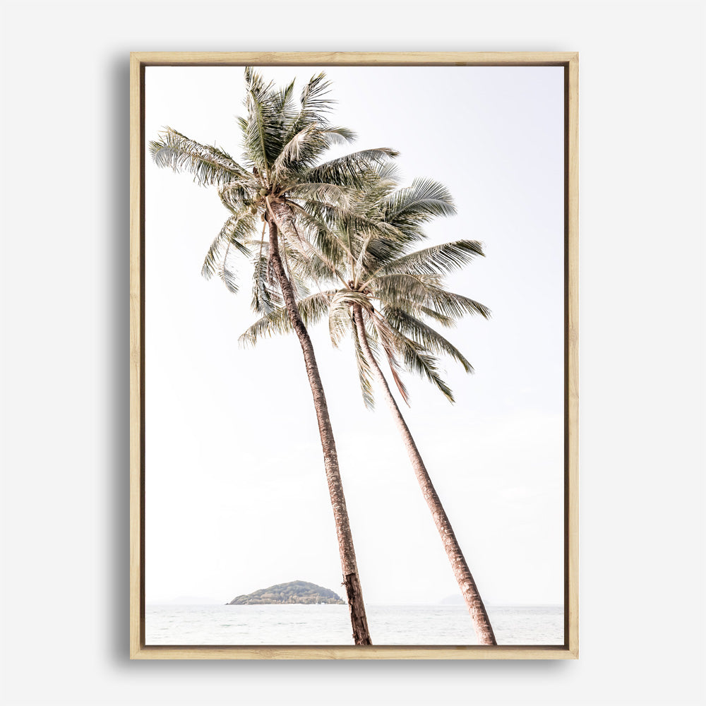 Shop Twin Palms Photo Canvas Print a coastal themed photography framed stretched canvas print from The Print Emporium wall artwork collection - Buy Australian made prints for the home and your interior decor space, TPE-1053-CA-35X46-NF
