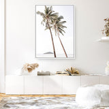 Shop Twin Palms Photo Canvas Print a coastal themed photography framed stretched canvas print from The Print Emporium wall artwork collection - Buy Australian made prints for the home and your interior decor space, TPE-1053-CA-35X46-NF