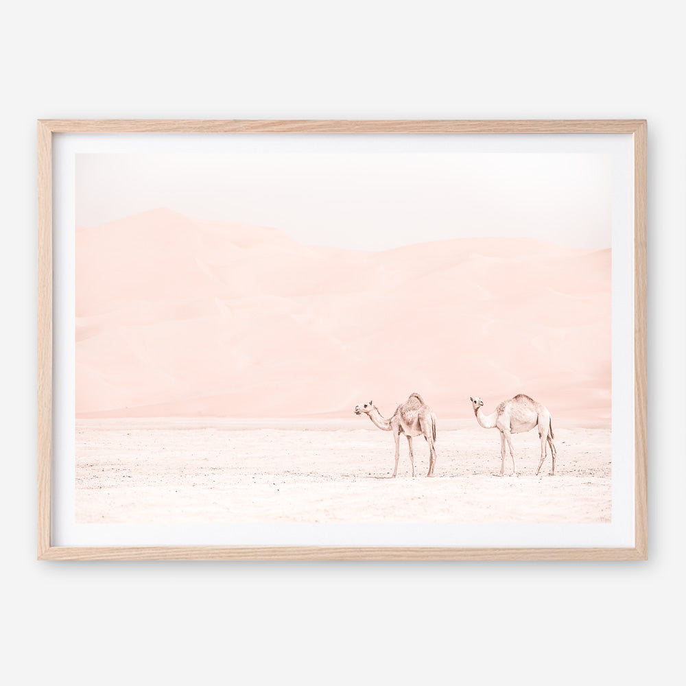 Shop Two Camels Photo Art Print a Moroccan desert boho themed photography wall art print from The Print Emporium wall artwork collection - Buy Australian made fine art poster and framed prints for the home and your interior decor room, TPE-832-AP