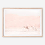 Shop Two Camels Photo Art Print a Moroccan desert boho themed photography wall art print from The Print Emporium wall artwork collection - Buy Australian made fine art poster and framed prints for the home and your interior decor room, TPE-832-AP