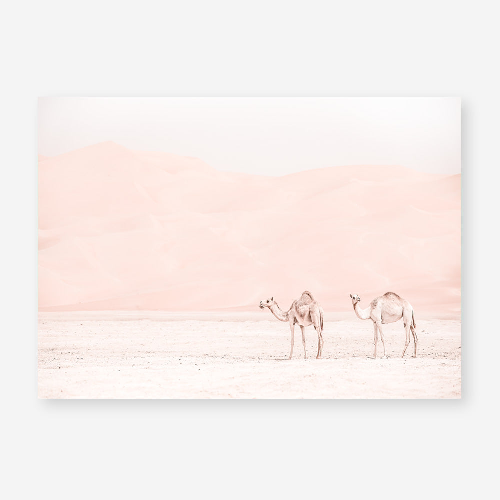 Shop Two Camels Photo Art Print a Moroccan desert boho themed photography wall art print from The Print Emporium wall artwork collection - Buy Australian made fine art poster and framed prints for the home and your interior decor room, TPE-832-AP