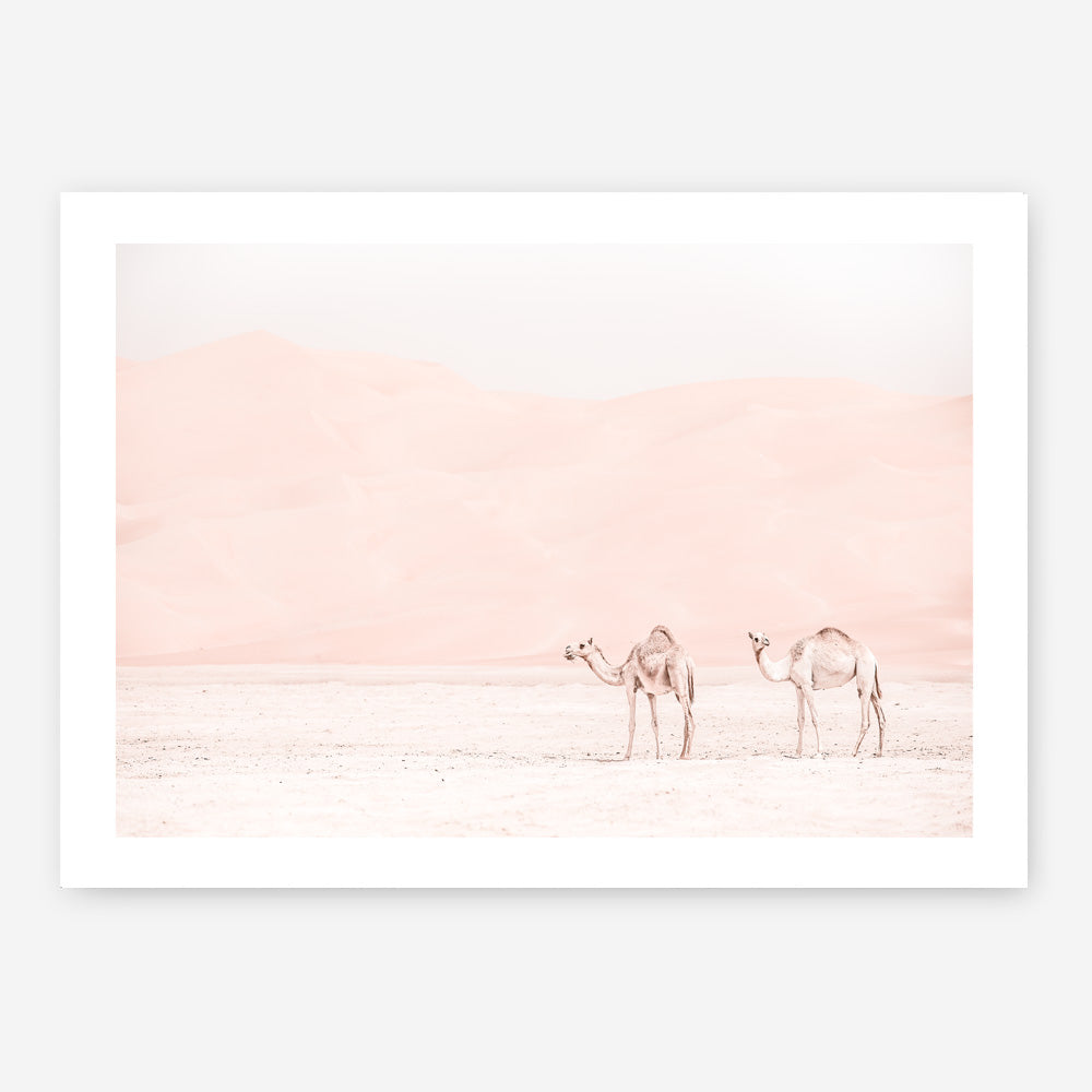Shop Two Camels Photo Art Print a Moroccan desert boho themed photography wall art print from The Print Emporium wall artwork collection - Buy Australian made fine art poster and framed prints for the home and your interior decor room, TPE-832-AP