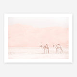 Shop Two Camels Photo Art Print a Moroccan desert boho themed photography wall art print from The Print Emporium wall artwork collection - Buy Australian made fine art poster and framed prints for the home and your interior decor room, TPE-832-AP